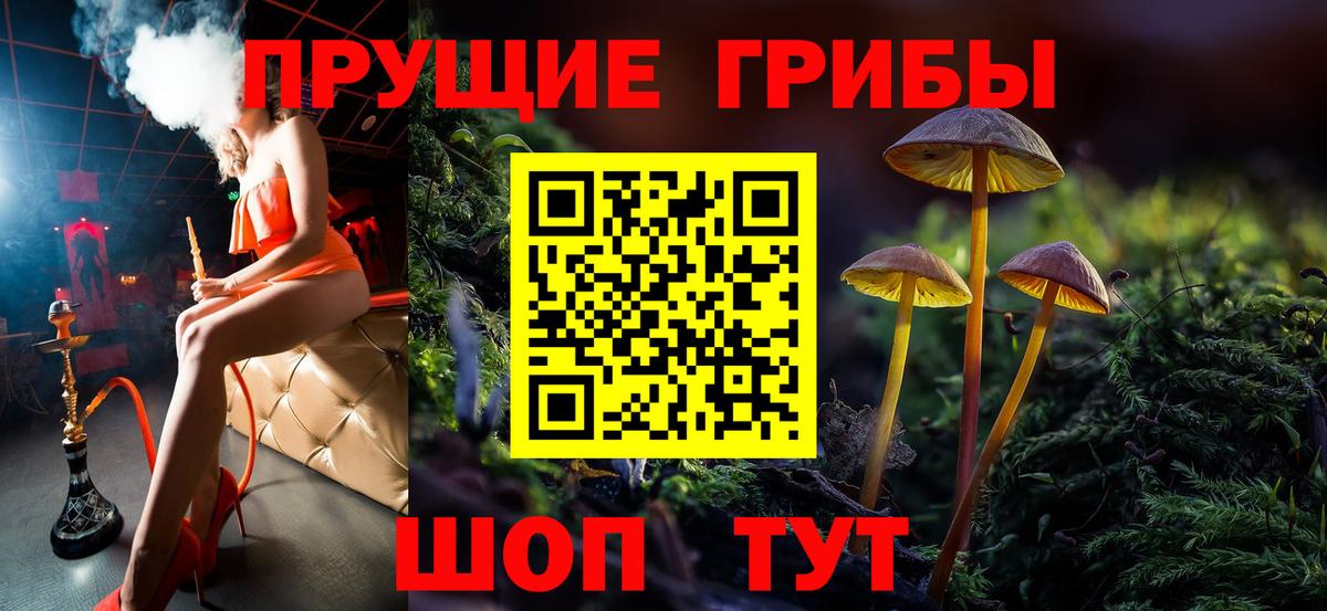 Галлюциногенные грибы мицелий  Галлюциногенные грибы Psilocybine cubensis  где купить наркоту  Оренбург  Вход с VPN 